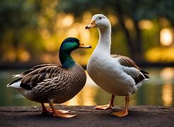 Image result for Hen and Goose