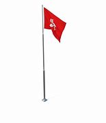 Image result for Hong Kong Balck Flag