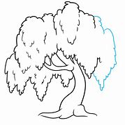 Image result for Willow Tree Drawing