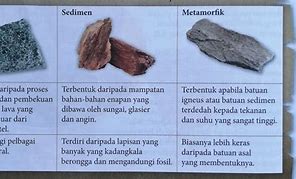 Image result for Sedimen Pasir