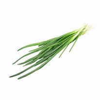 Image result for Chives Allergy Logo