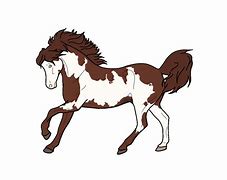 Image result for Ffestiniog Welsh Pony