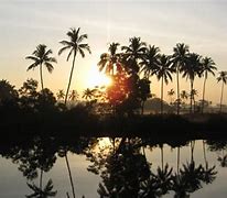 Image result for Goa Baga Foreign