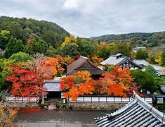 Image result for Kyoto City