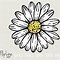 Image result for Hand Drawn Daisy Flower