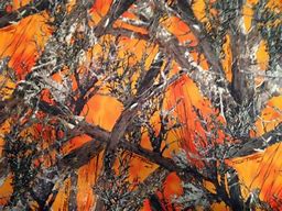 Image result for Realtree Orange Camo