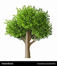 Image result for Family Tree with Leaves