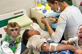 Image result for Monkey Kaka and Dad