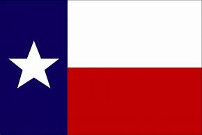 Image result for 9Mm Texas Flag Slide