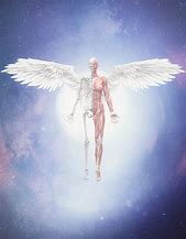 Image result for Angel Skeleton Found