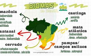 Image result for Mapa De Biomas