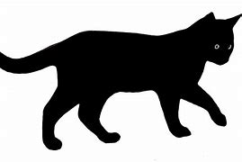 Image result for black cat silhouette