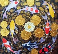 Image result for 13 Koi Carp Image