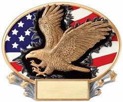 Image result for Girl Scout Eagle Awards