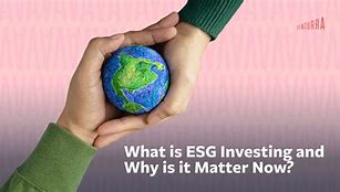 Image result for What Is ESG Investing