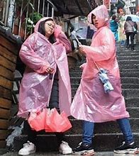 Image result for Raincoats