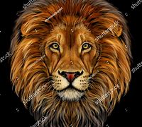 Image result for Lion Water Face