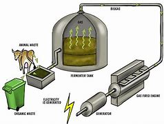 Image result for Biomass Energy Kids