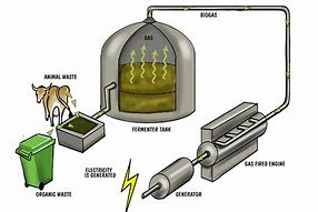 Image result for How Does Biomass Energy Work