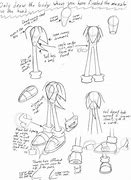 Image result for Sonic Anatomy