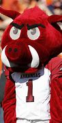 Image result for American Football Mascots