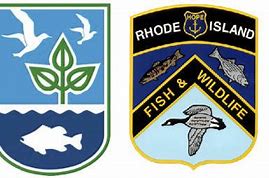 Image result for Rhode Island State Fish