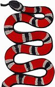 Image result for Gucci Snake PNG