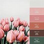 Image result for Pink RGB Numbers