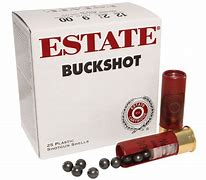 Image result for Buckshot Shells