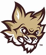 Image result for Texas State Mascot