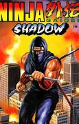 Image result for Ninja Gaiden Shadow