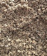 Image result for Sand Surface Concrete