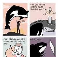 Image result for Free Willy Funny