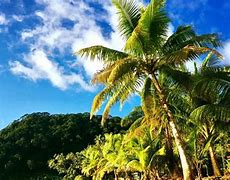 Image result for Isla De Coco Costa Rica Hotels