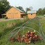 Image result for Easy Chicken Co-op