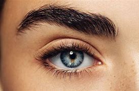 Image result for Gaze Eyedilute