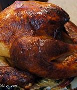 Image result for Turkey Briner