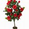 Image result for How to Plant Rose Bushes