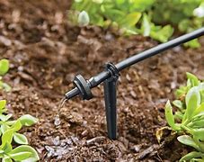 Image result for Large-Scale Drip Irrigation Systems