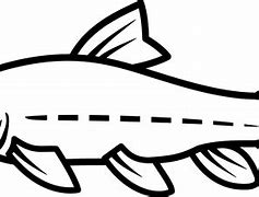 Image result for Catfish Clip Art Black and White