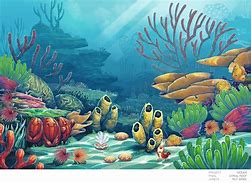 Image result for Coral Reef Draw