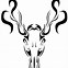 Image result for Deer Skull Monster