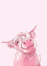 Image result for Aesthetic High Resolution Cow Wallpaper