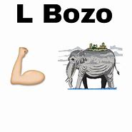 Image result for L Bozo