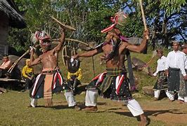 Image result for Patahan Flores Di Nusa Tenggara