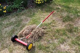 Image result for What Is a Dethatching Rake