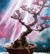 Image result for Bonsai at Night