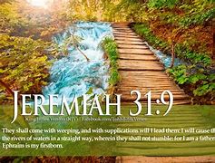 Image result for Chapter and Verse Bible Pics