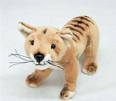 Image result for Thylacine Plush Toy