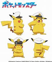 Image result for Pikachu Forms